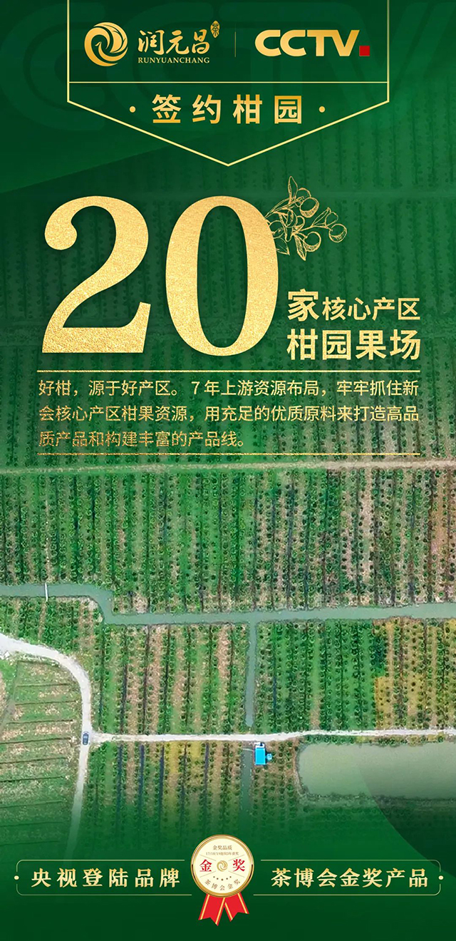 润元昌柑普茶2022年小青柑