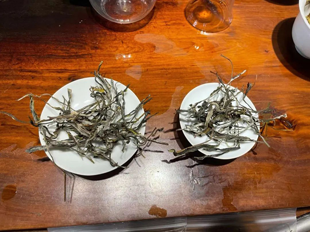 紫者天门山高杆古树普洱茶