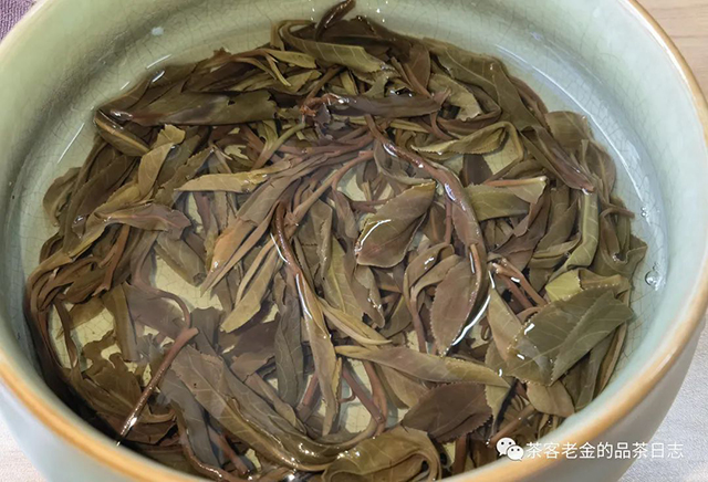 吾茶共饮2022年紫茎易武普洱茶