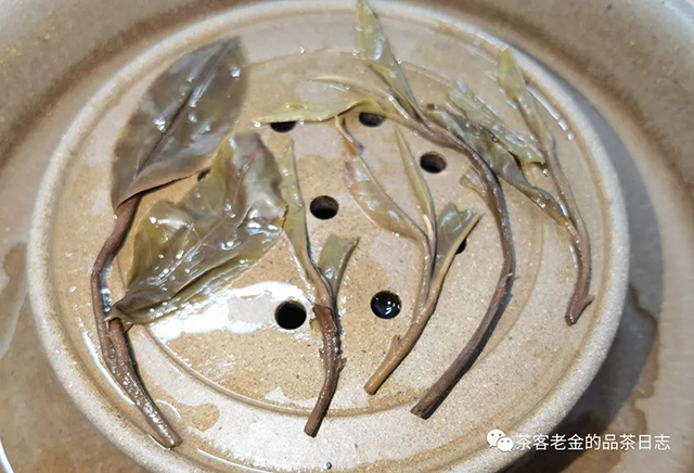 吾茶共饮2022年紫茎易武普洱茶