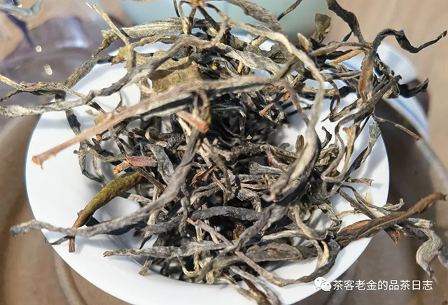 吾茶共饮2022年紫茎易武普洱茶