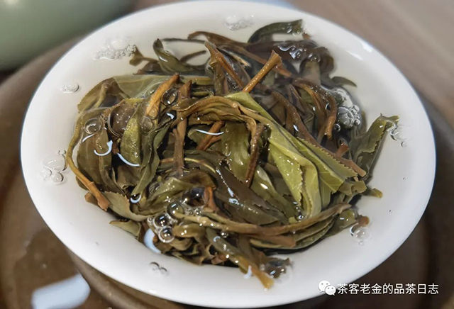 吾茶共饮2022年紫茎易武普洱茶