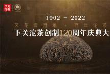 下关沱茶：这家茶企凭什么120年屹立不倒？