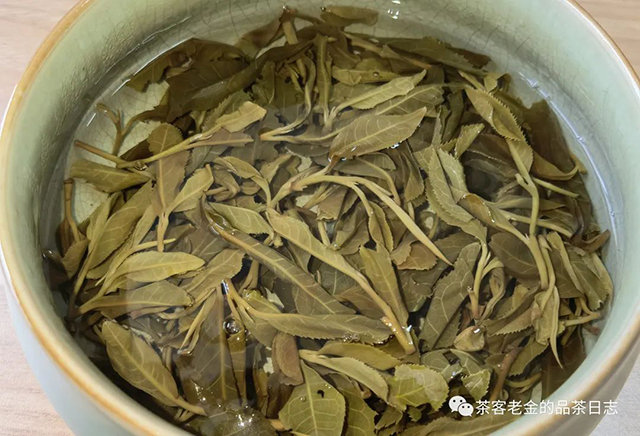 吾茶共饮2022年哀牢山细叶普洱茶