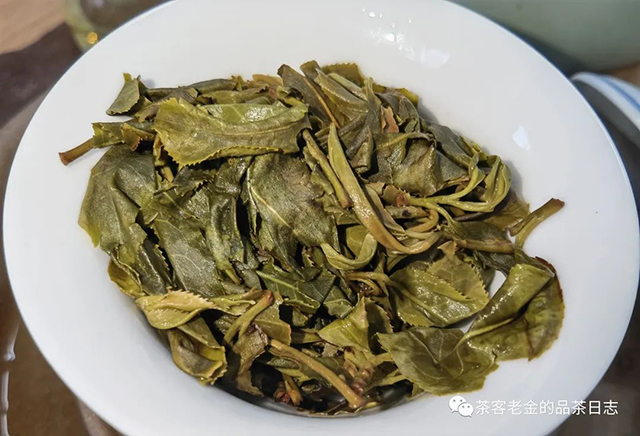 吾茶共饮2022年哀牢山细叶普洱茶