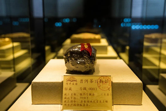 六大茶山普洱茶