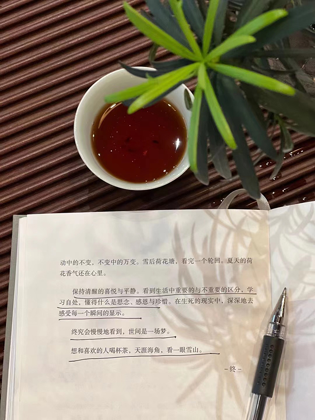 暖暖说茶