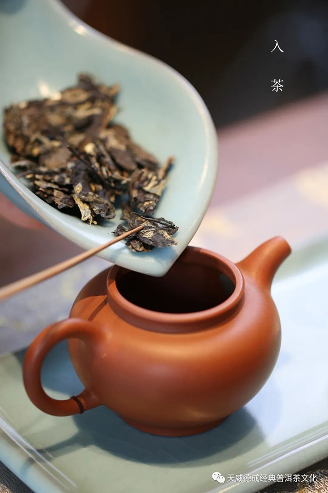 天威德成知白白茶茶砖