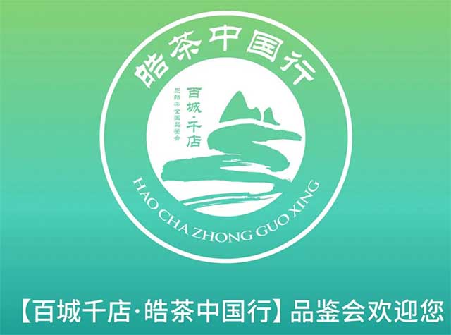 正皓茶金印品鉴会