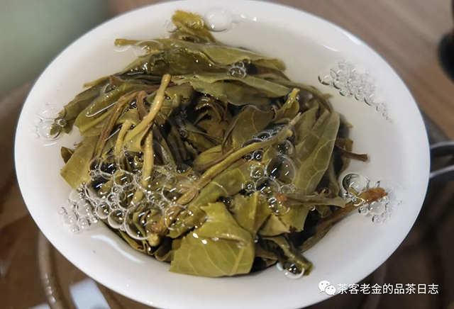 吾茶共饮2022年老班章三棵树普洱茶