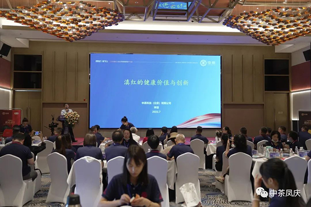 中茶六山中茶凤庆战略客户年会