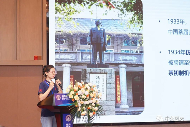 中茶六山中茶凤庆战略客户年会