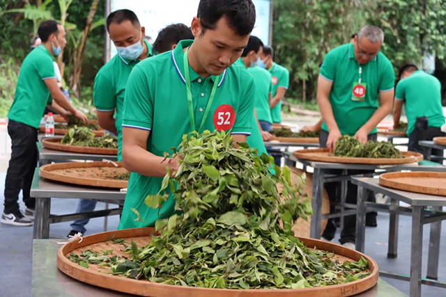 第三届全国评茶员职业技能竞赛云南预选赛在临沧举办