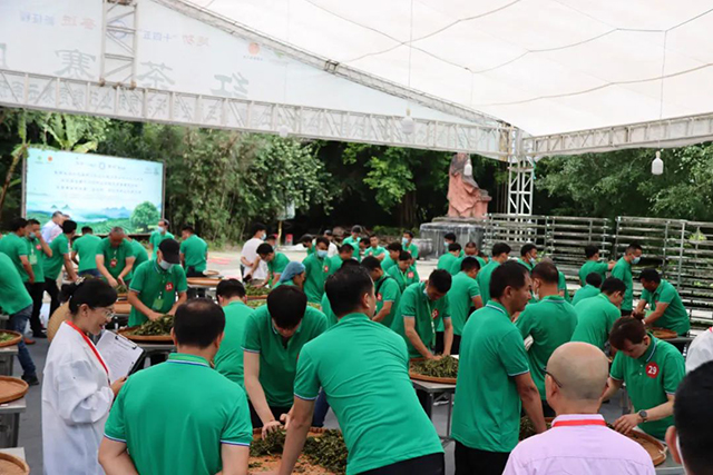 第三届全国评茶员职业技能竞赛云南预选赛在临沧举办