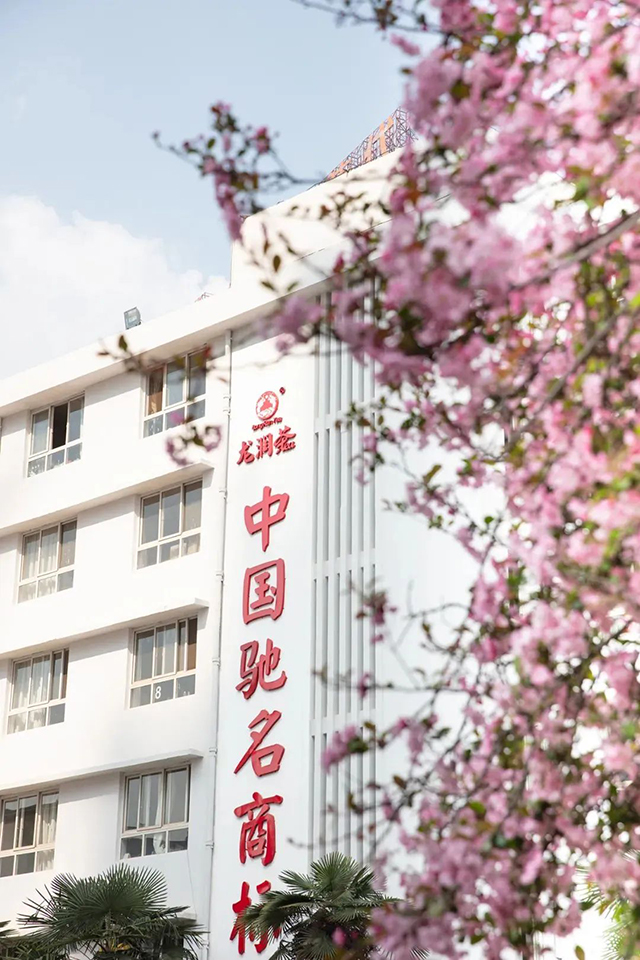 云南龙润茶业