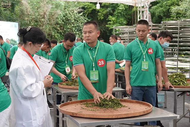 第三届全国评茶员职业技能竞赛