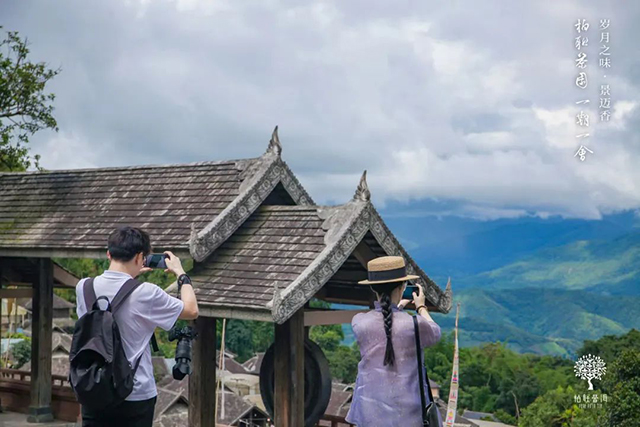 柏联茶园一期一会品岁月之味景迈香主题茶会在景迈山柏联酒店