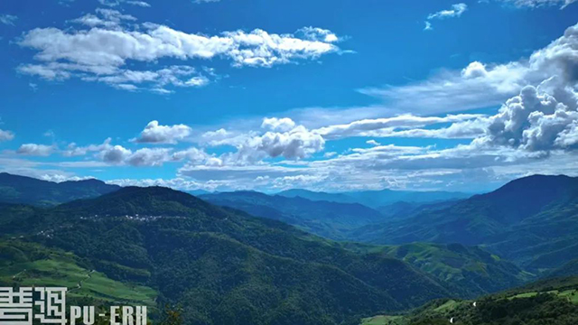 普洱杂志茶让生活更美好