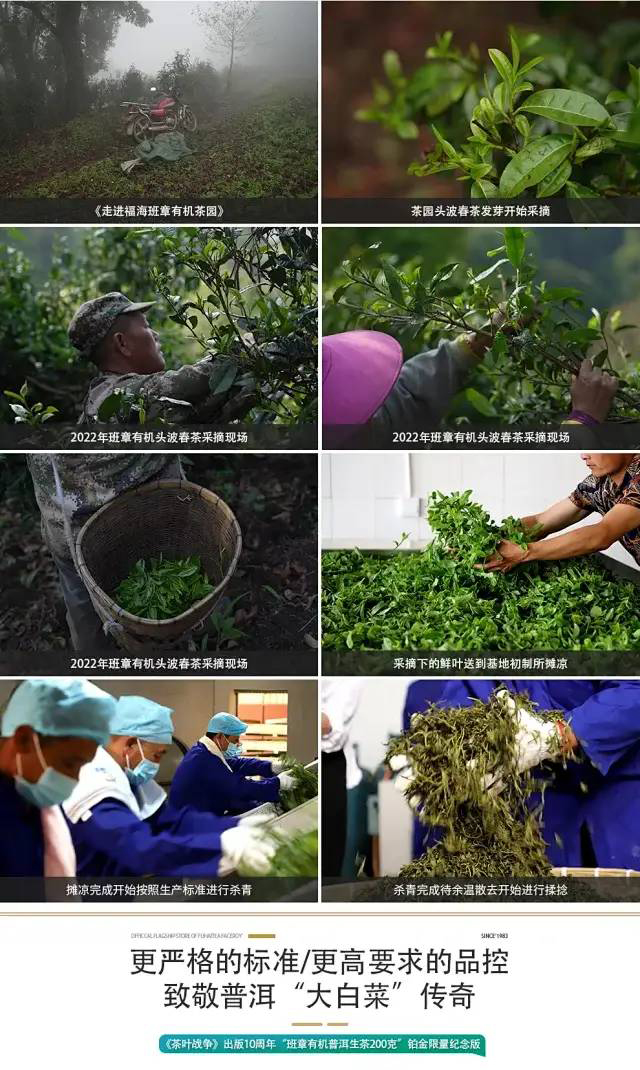 福海茶周重林茶叶战争出版10周年铂金纪念茶