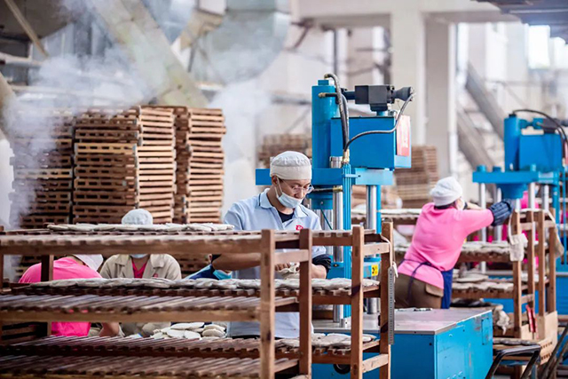 勐海茶厂生产区