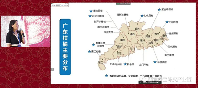 新会陈皮