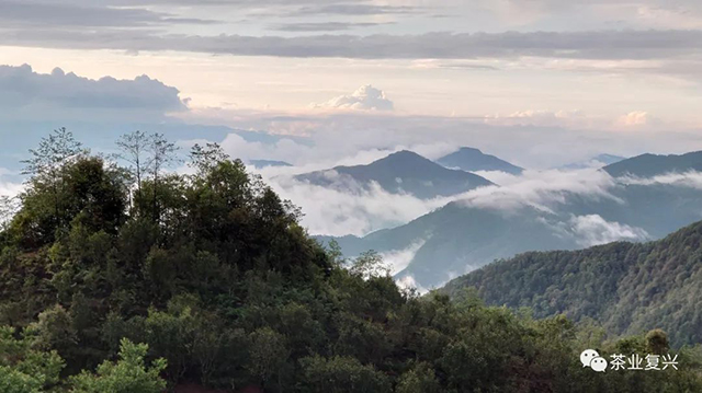 周重林钉耙山考察记