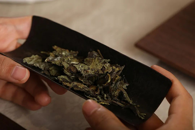 津乔普洱