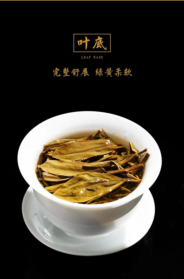 2022龙润茶昔归普洱茶