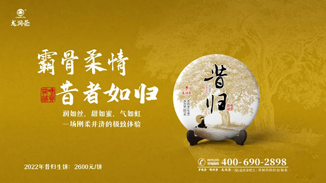 2022龙润茶昔归普洱茶