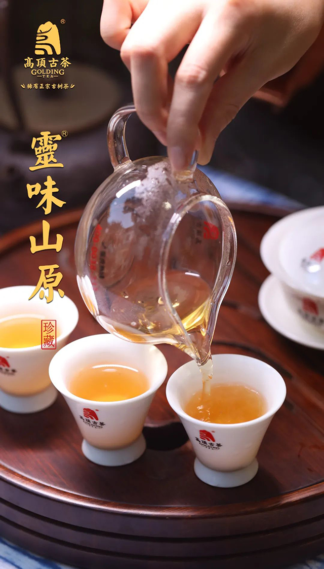 高顶古茶灵味山原普洱茶