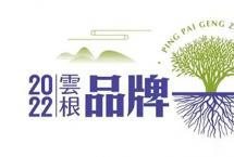 第二届中国白茶大会顺利召开，云根白茶获评“2022白茶行业领军品牌”