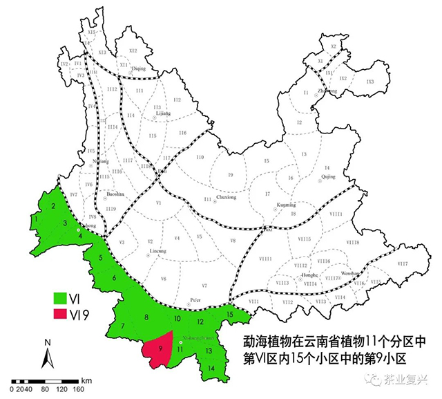 刘华杰勐海植物记