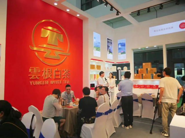 云根茶业济南茶博会