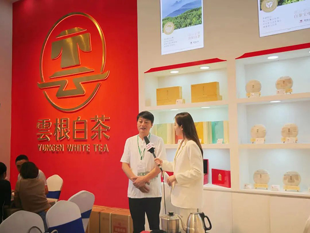 云根茶业济南茶博会