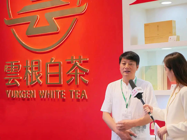 云根茶业济南茶博会