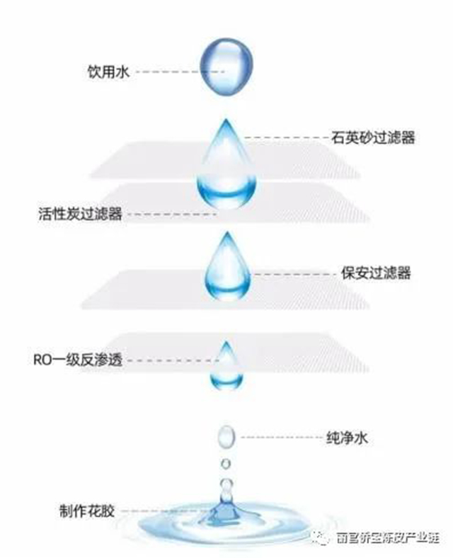 越南巴沙鱼胶