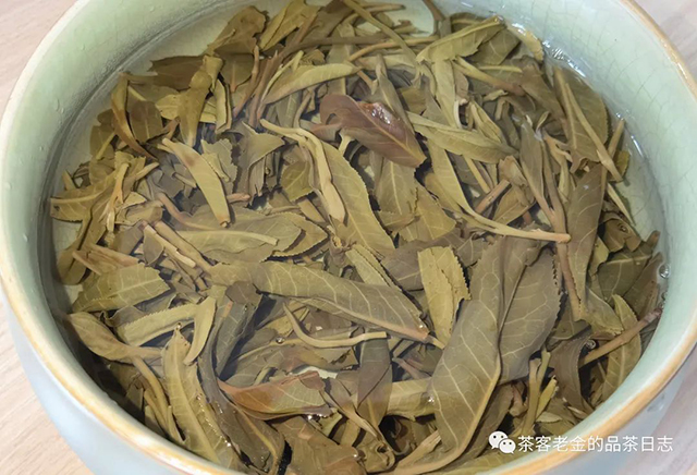 拉祜公主2022年桃子寨头春古树普洱茶