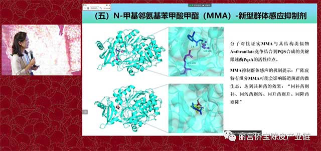 华南理工大学陈谷教授广陈皮与微生物生态