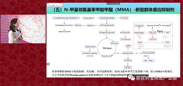 华南理工大学陈谷教授广陈皮与微生物生态