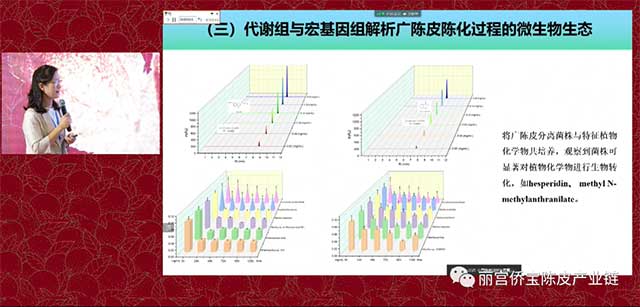 华南理工大学陈谷教授广陈皮与微生物生态