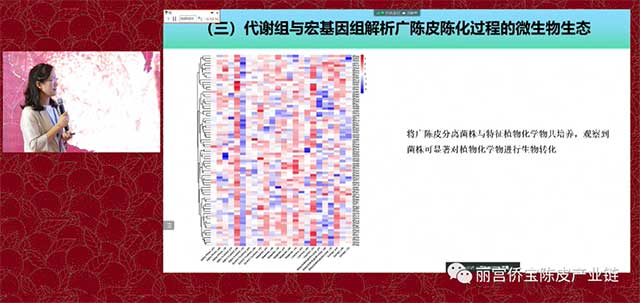 华南理工大学陈谷教授广陈皮与微生物生态