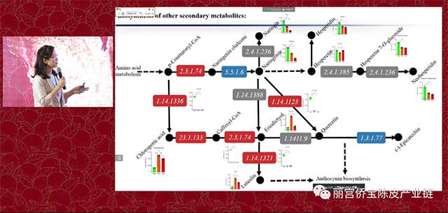 华南理工大学陈谷教授广陈皮与微生物生态