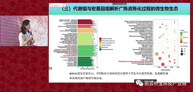 华南理工大学陈谷教授广陈皮与微生物生态