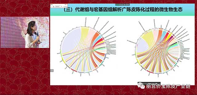 华南理工大学陈谷教授广陈皮与微生物生态