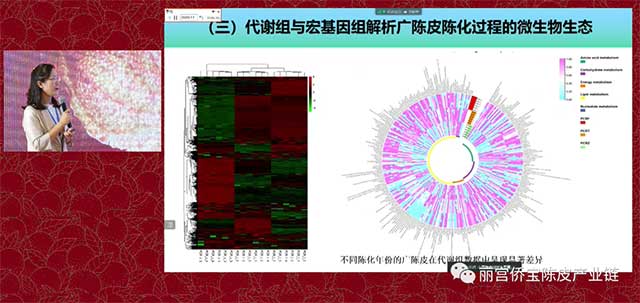 华南理工大学陈谷教授广陈皮与微生物生态