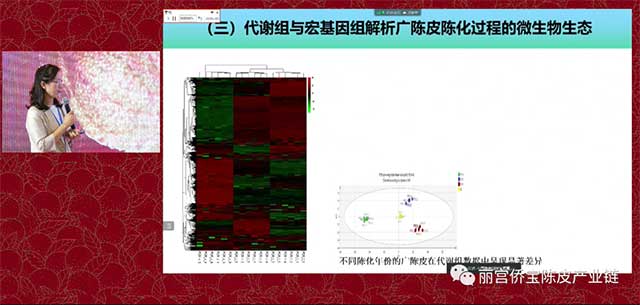 华南理工大学陈谷教授广陈皮与微生物生态