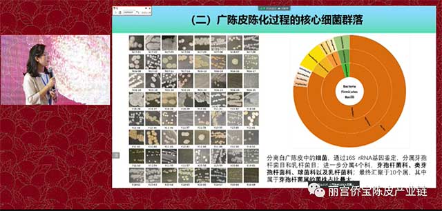 华南理工大学陈谷教授广陈皮与微生物生态