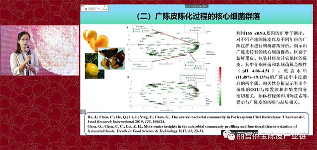 华南理工大学陈谷教授广陈皮与微生物生态