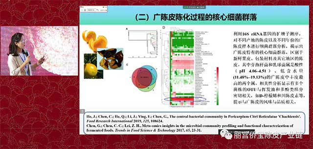 华南理工大学陈谷教授广陈皮与微生物生态