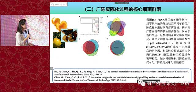 华南理工大学陈谷教授广陈皮与微生物生态